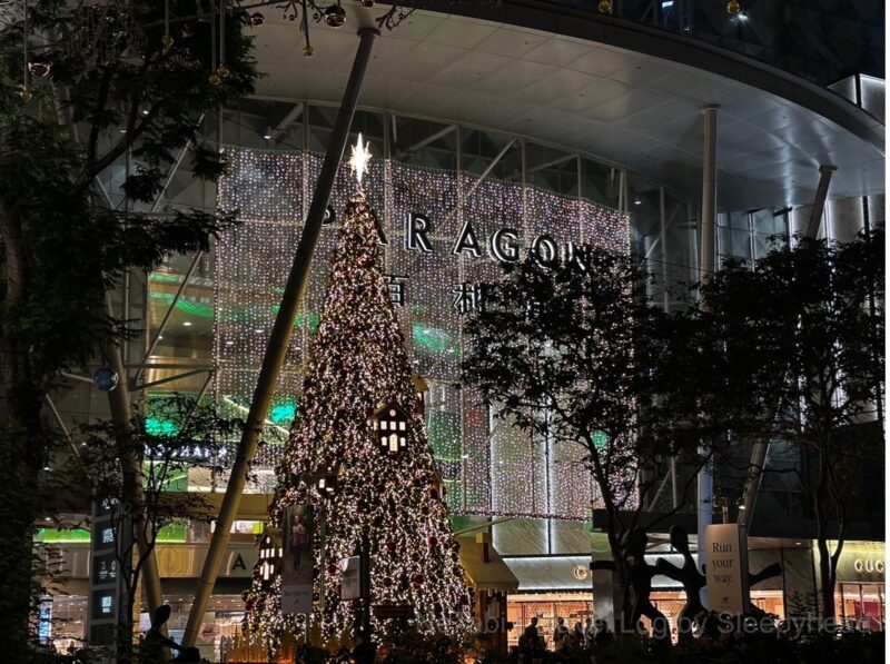 PARAGON前の巨大クリスマスツリー