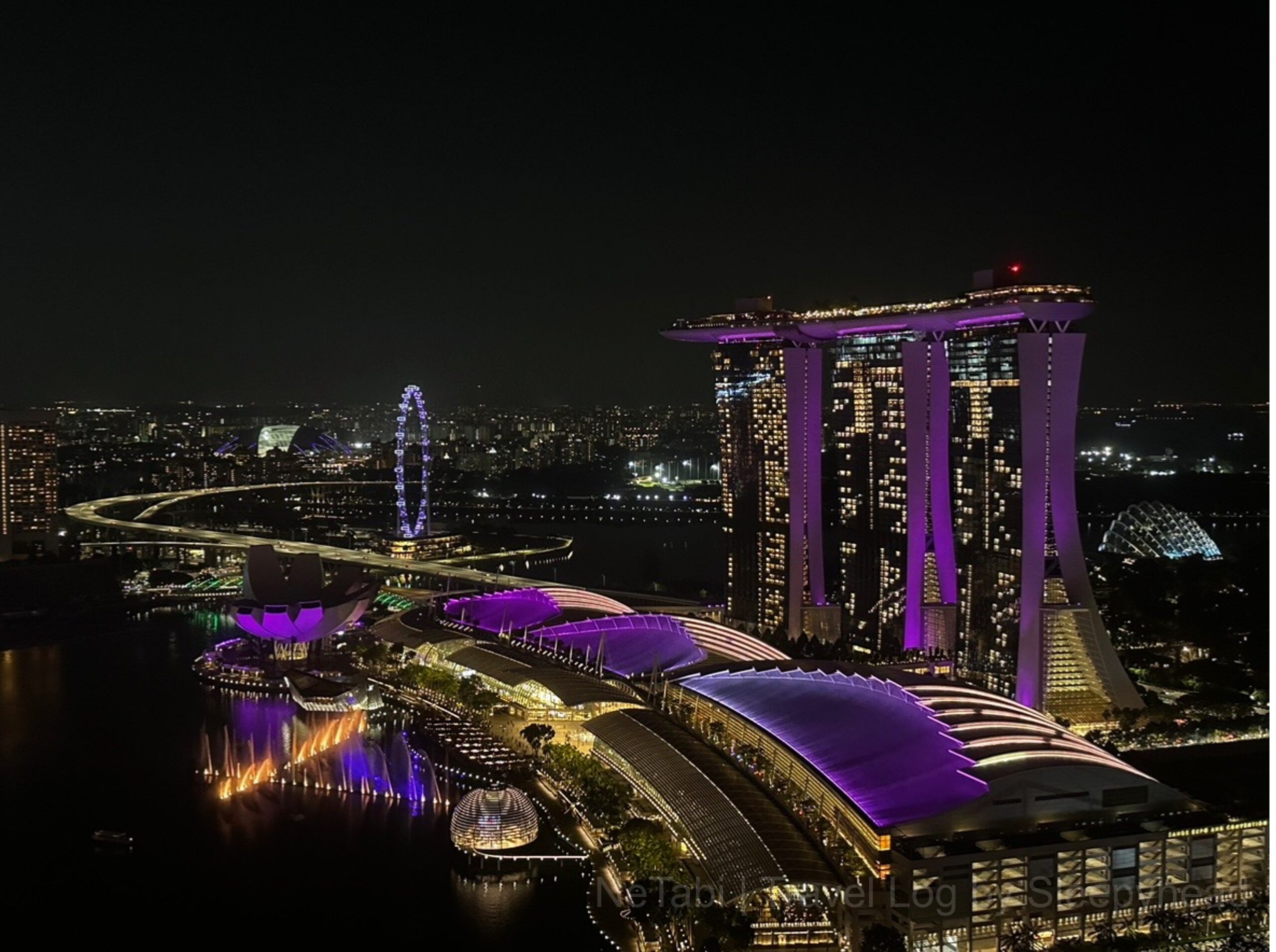 LEVEL33から見たマリーナベイサンズの夜景