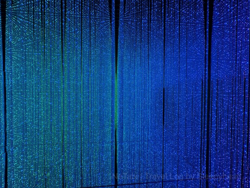 星々のように輝く光