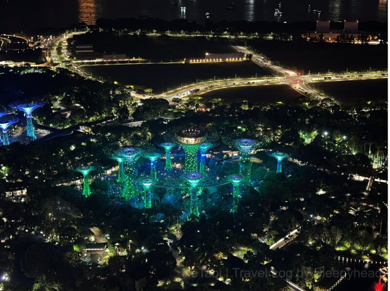 ガーデンラプソディの様子|スーパーツリーグローブが点滅しています