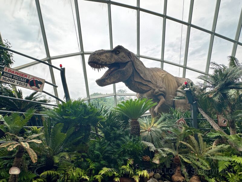 ティラノサウルスの模型