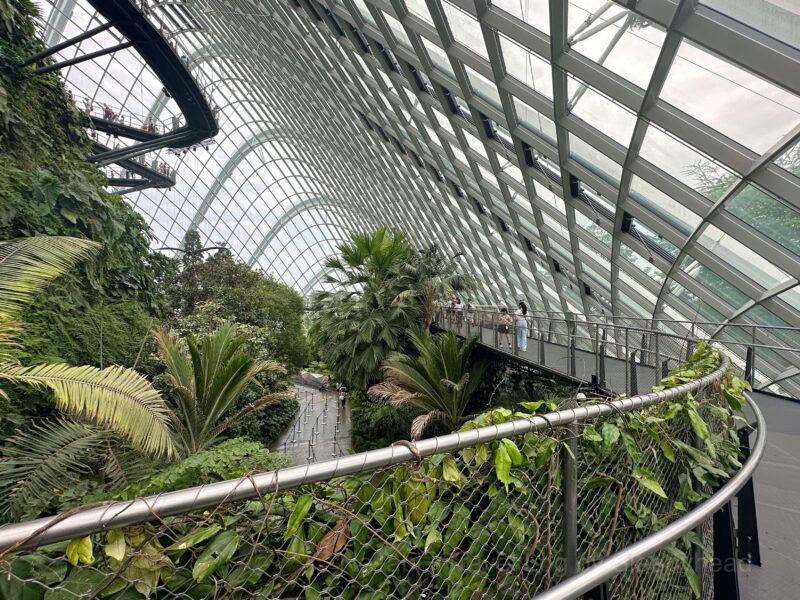 クラウドフォレストの通路の様子