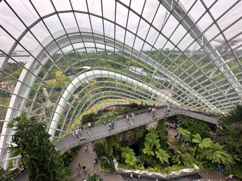 上から見たドームの様子