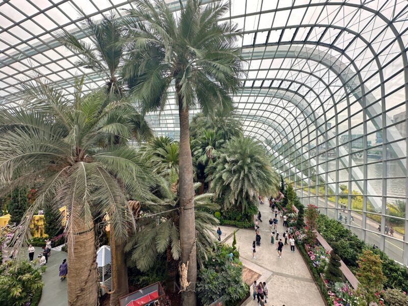 フラワードームの中の様子