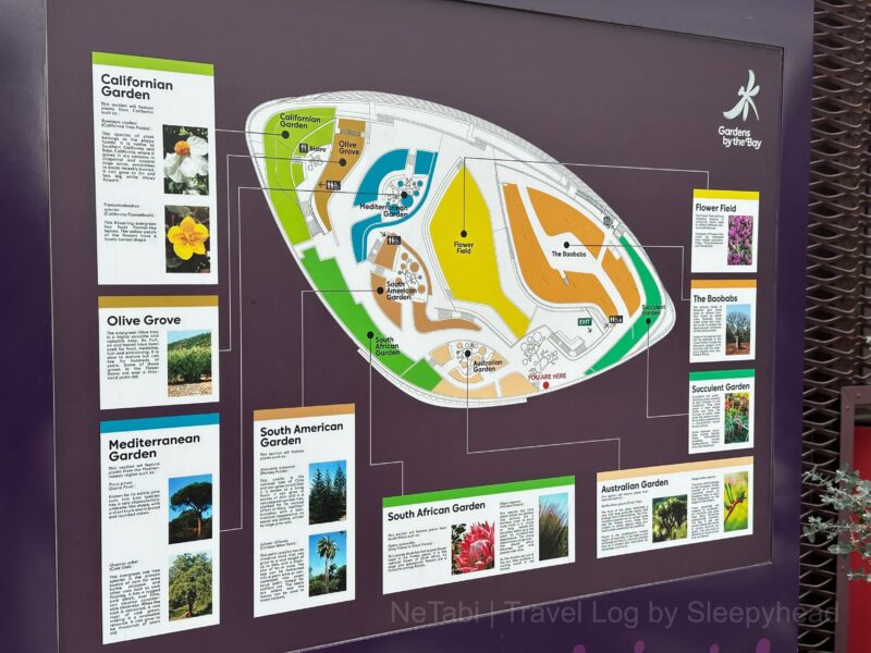 フラワードームのマップ